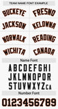 Custom Baseball Jersey Personalized Name Number Raglan Sleeves Lightweight Baseball Tops For Men Women Youth