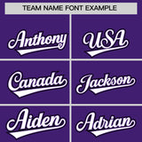 Custom Purple Black Color Block Personalized Side Dotted Line Authentic Baseball Jersey