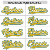 Custom White Green Color Block Personalized Side Dotted Line Authentic Baseball Jersey
