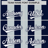 Custom Navy Silver Stripe Fashion Authentic Two-Button Baseball Jersey