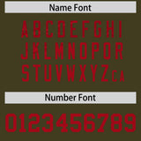 Custom Olive Red Women Basketball Jersey Dress