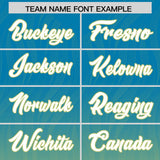 Custom Panther Blue Champagne Gradient Fashion Outdoor Authentic Football Jersey