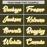 Custom Olive Personalized Shoulder Cut Two-Tone Authentic Football Jersey