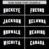 Custom Black Silver Raglan Sleeves Personalized Pattern Authentic Football Jersey