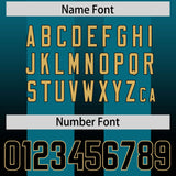 Custom Aqua Black Vertical Width Stripe Gradient Fashion Personalized Team Football Jersey