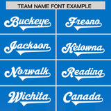 Custom Royal Pink Vertical Width Stripe Gradient Fashion Personalized Team Football Jersey