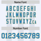 Custom White Gray Vertical Fine Stripe Gradient Fashion Personalized Team Football Jersey