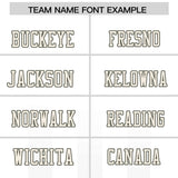 Custom White Gray Vertical Fine Stripe Gradient Fashion Personalized Team Football Jersey