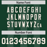 Custom Green White Vertical Fine Stripe Gradient Fashion Personalized Team Football Jersey