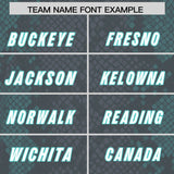Custom Gray Personalized Snakeskin Graffiti Pattern Authentic Football Jersey