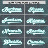 Custom Gray Personalized Snakeskin Graffiti Pattern Authentic Football Jersey