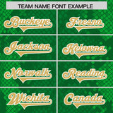 Custom Kelly Green Personalized Snakeskin Graffiti Pattern Authentic Football Jersey