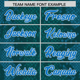 Custom Aqua Personalized Snakeskin Graffiti Pattern Authentic Football Jersey