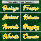 Custom Green Personalized Snakeskin Graffiti Pattern Authentic Football Jersey