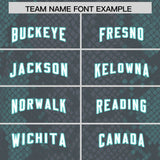 Custom Gray Personalized Snakeskin Graffiti Pattern Authentic Football Jersey
