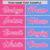 Custom Pink Light Blue Four Squares Design Performance Polo Shirt