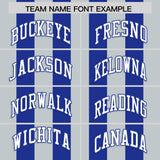 Custom Royal Silver Vertical Stripes Design Performance Polo Shirt
