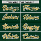 Custom Green Khaki Varsity Full-Snap Letterman Gradient Hoodie Jacket