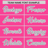 Custom Pink Gray Varsity Full-Snap Letterman Gradient Hoodie Jacket