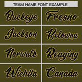 Custom Olive Black Varsity Full-Snap Letterman Gradient Hoodie Jacket