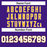 Custom Raglan Sleeves Jacket Varsity Blend Letterman Jackets For Sports