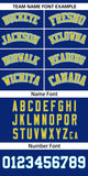 Custom Full-Zip Raglan Sleeves Varsity Baseball Jacket Stitched Text Logo for Adult/Youth