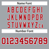 Custom Stitched Team Name Number and Logo Raglan Sleeves Fashion Full-Zip Hoodie