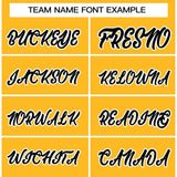 Custom Women's Traditional All Ages Sport Pullover Raglan Sleeves Hoodie Stitched Name Number Fashion Sweatshirt